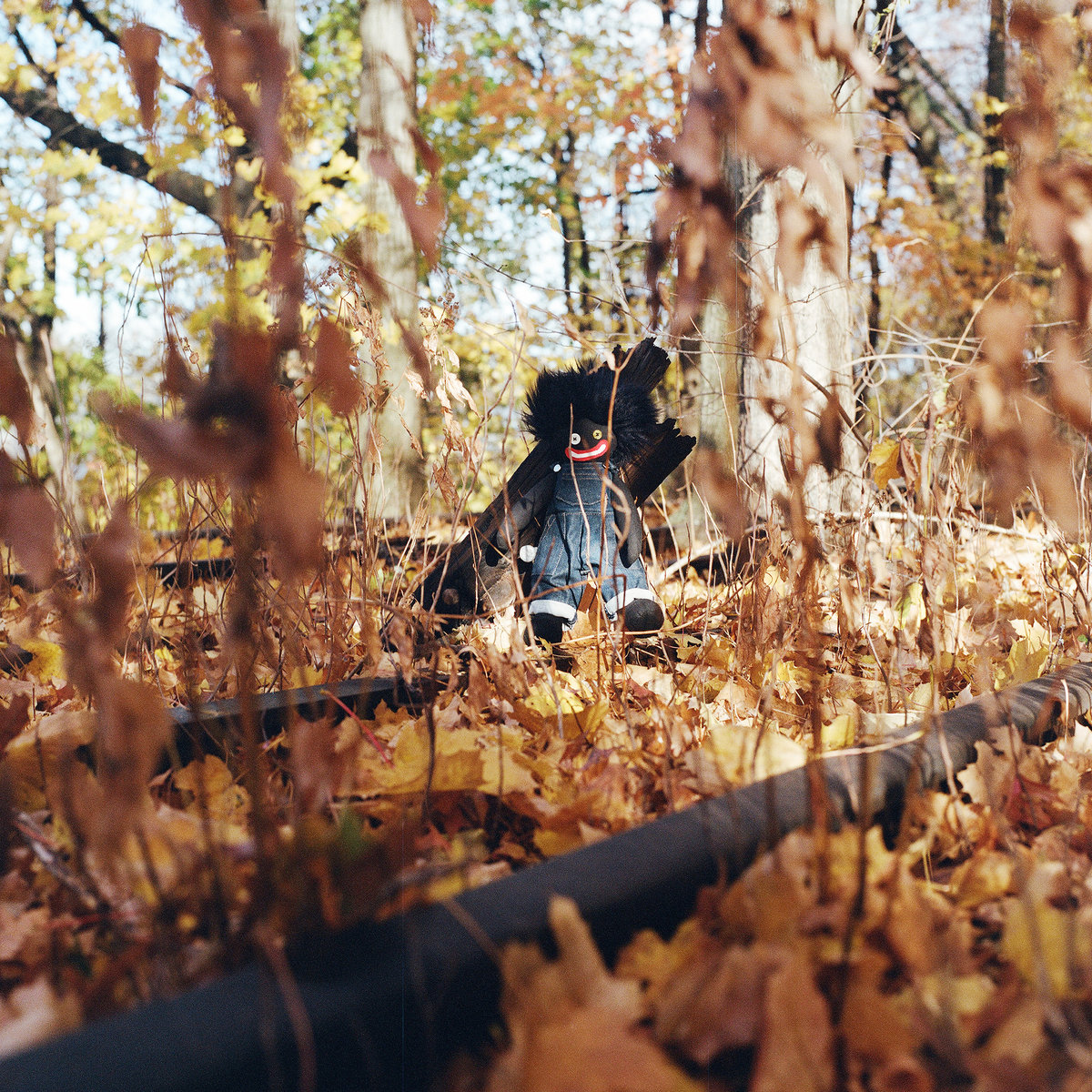 billy woods: Golliwog (Backwoodz Studioz)