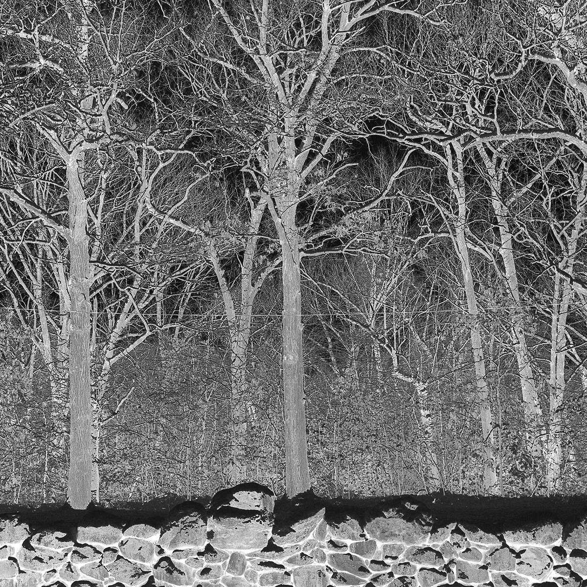 Pile: Sunshine and Balance Beams (Sooper Records)