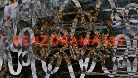 Senzorama 136: festival Niansa