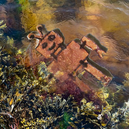 Robotek slavno pluje v algastem obrežju kot Ofelija