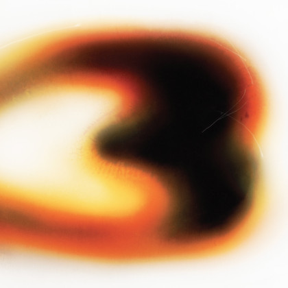 Still House Plants: If I don't make it, I love u