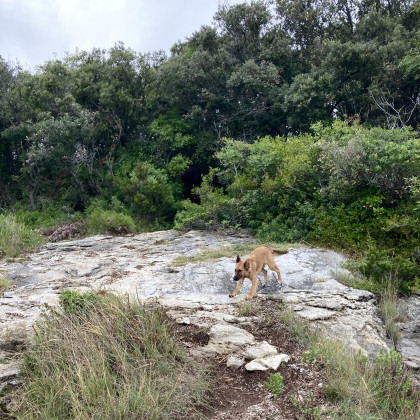 Seznam skladb za 8. 10. 2024, 12.00–15.00 (Hana Hunjet)