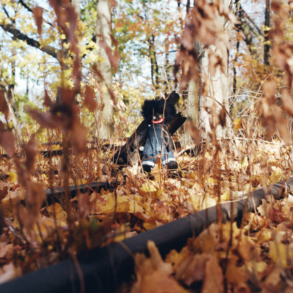 billy woods – Misery