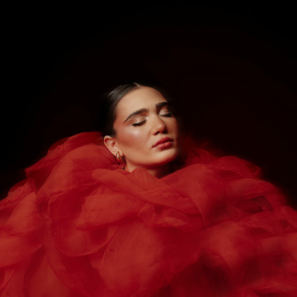 Dina Jashari: Rastenija bez koren