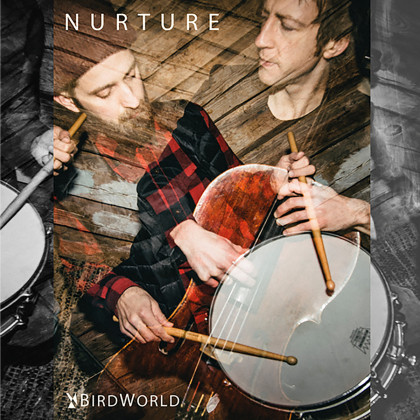 BirdWorld: Nurture