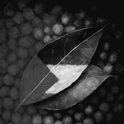 Seznam skladb za 2. 9. 2025, 14.00–18.00 (Mitja Hlupič)