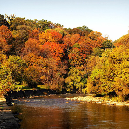 neko jesensko tihožitje brez mrtvih živali