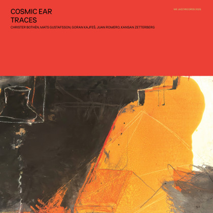 Cosmic Ear: Traces