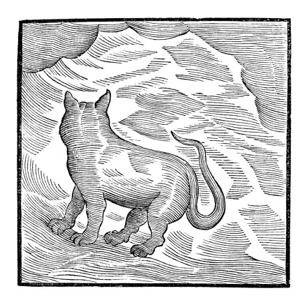 Valentina Magaletti & YPY: Kansai Bruises