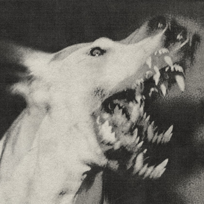 Naj tuja Tolpa bumov 2025 – Ciśnienie: [angry noises]