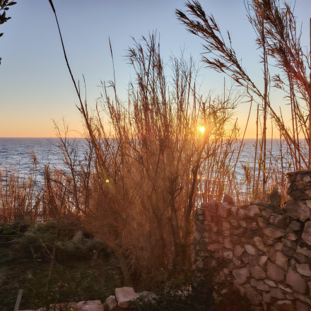 Seznam skladb za 18. 2. 2026, 14.00–18.00 (Luka Bevk)