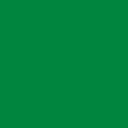Anima Afra 153