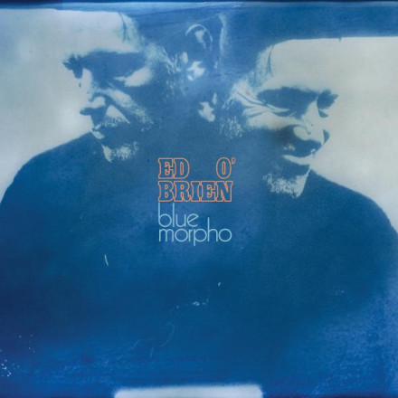 Ed O'Brien: Blue Morpho