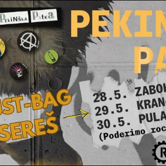Pekinška Patka v Kranju