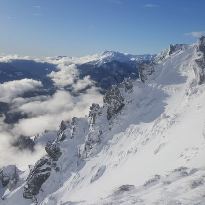 Novo leto, nove priložnosti, smrt