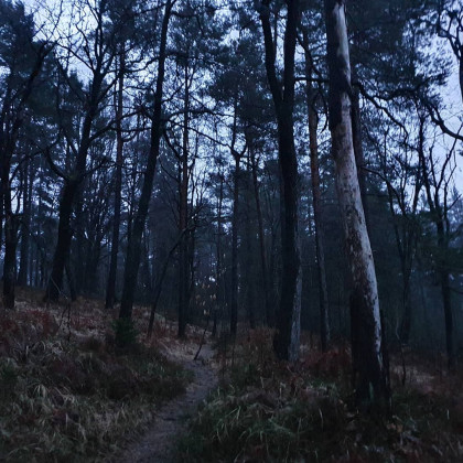 Petnajst zgrešenih klicev zime