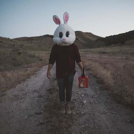 Zajec le požigalec :0