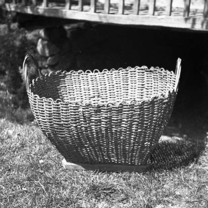 nek koš za korenje kaj js vem