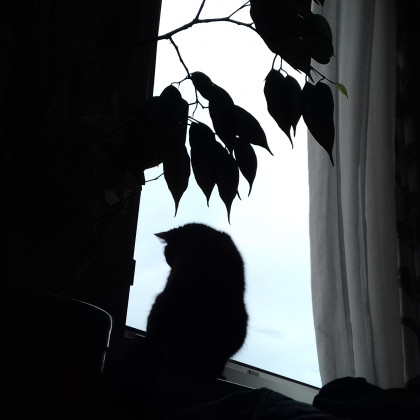 Seznam skladb za 21. 9. 2023, 15.00–19.00 (Nina Zajc)