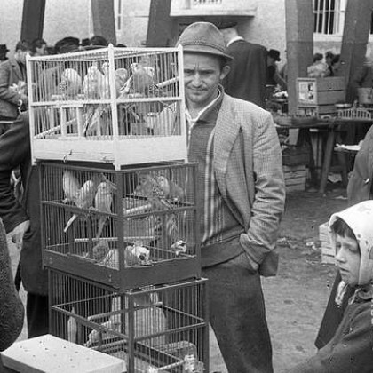 pičkasta pička v pičkasti kletki 