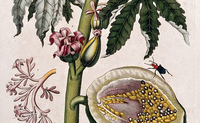 a je to preveč perverzno?