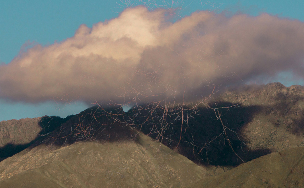 OdNu: Ronroco Rococo Memories