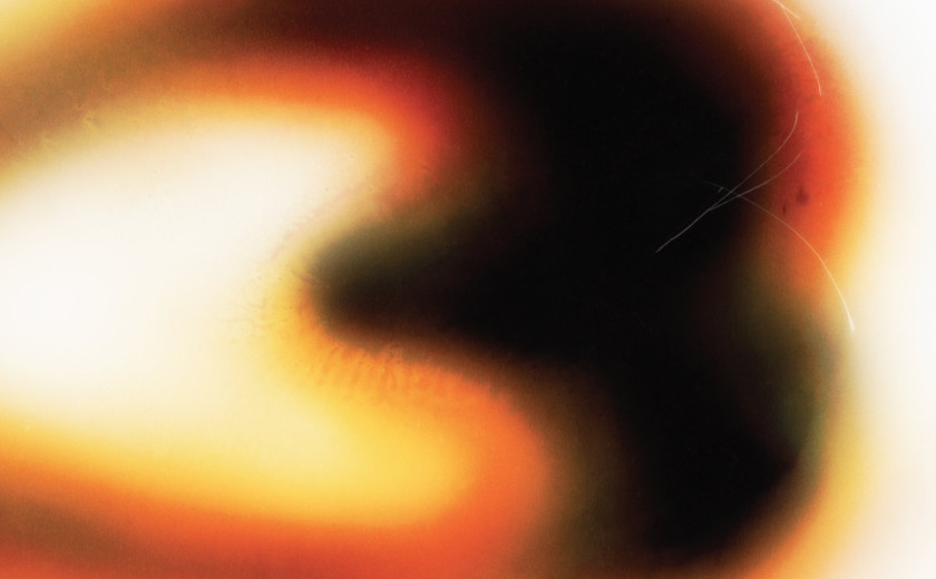 Still House Plants: If I don't make it, I love u