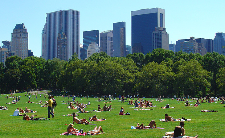 pregreti kiti v parku