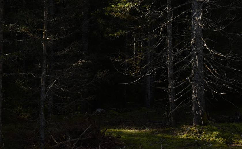 Seznam skladb za 24. 7. 2024, 15.00–19.00