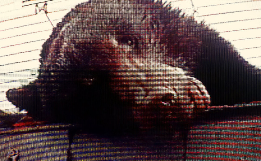 Truck Violence: Violence