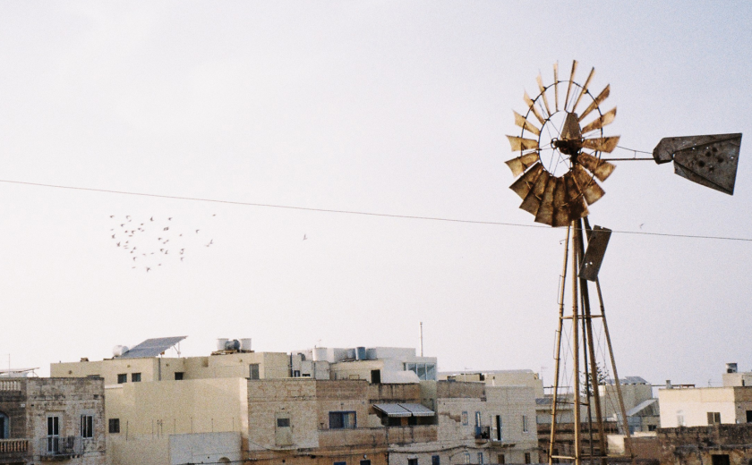 Partijska linija #155