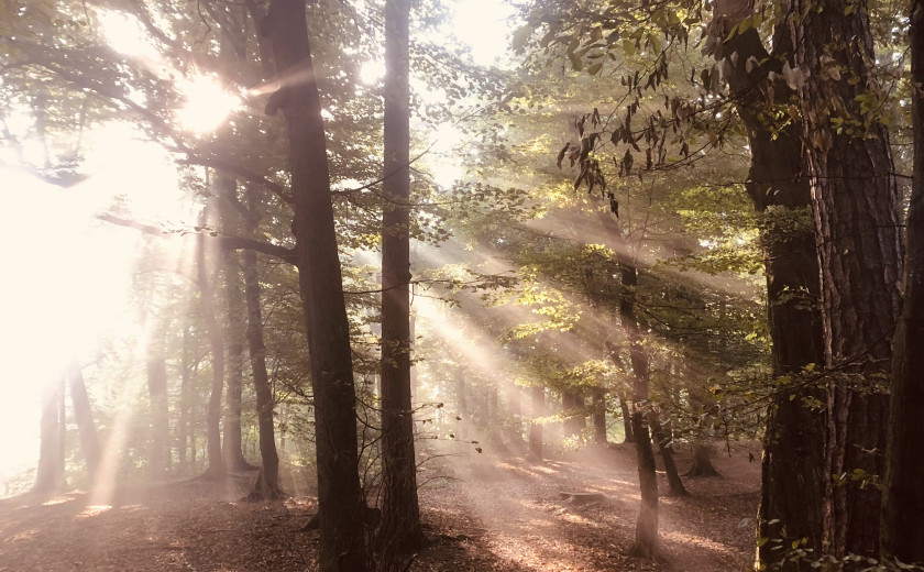 En jesenski izbor muzike za 20. 9. 2024, 14.00–18.00 (Taja Lesjak Šilak)
