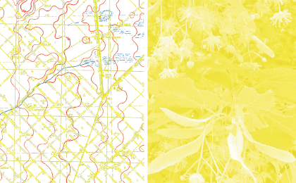 Naslovnica knjige Lipa