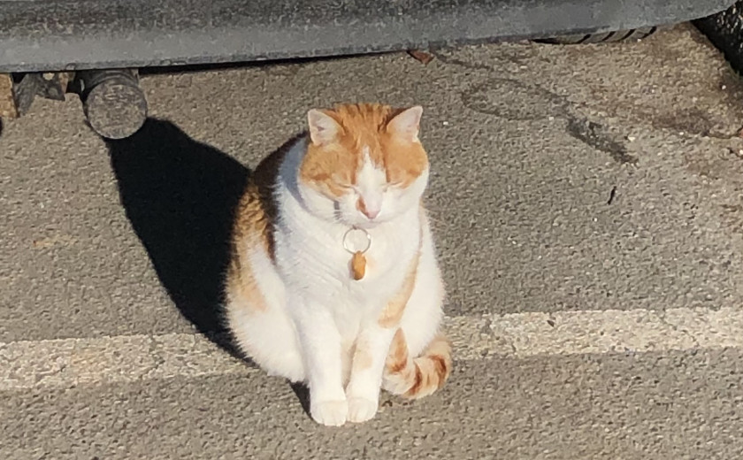 Seznam skladb za 13. 1. 2025 (15.00–19.00) (UKK)