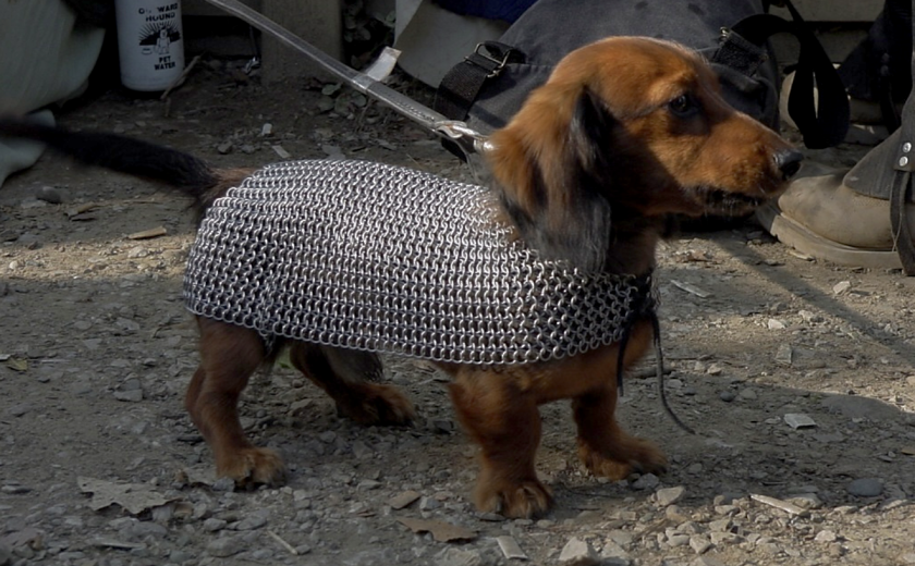 Seznam skladb za 8. 1. 2025, 7.00–11.00 (Asiana Jurca Avci)