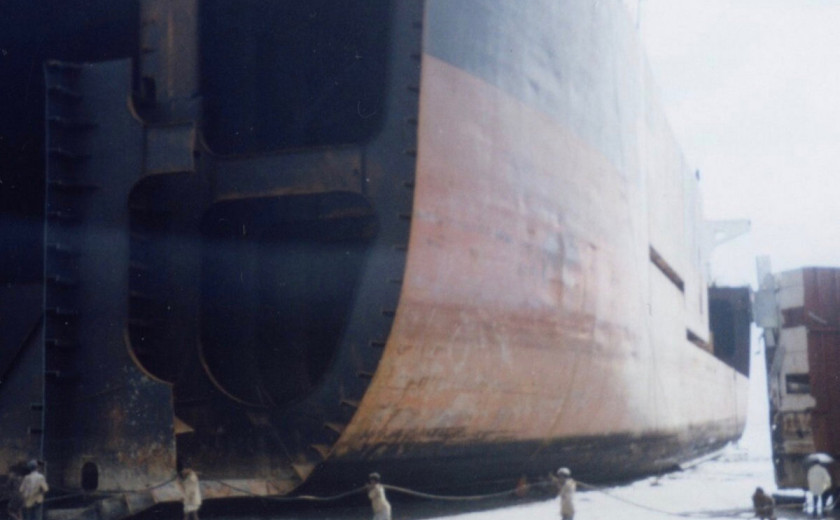 Funk of Terror: Insect Politics