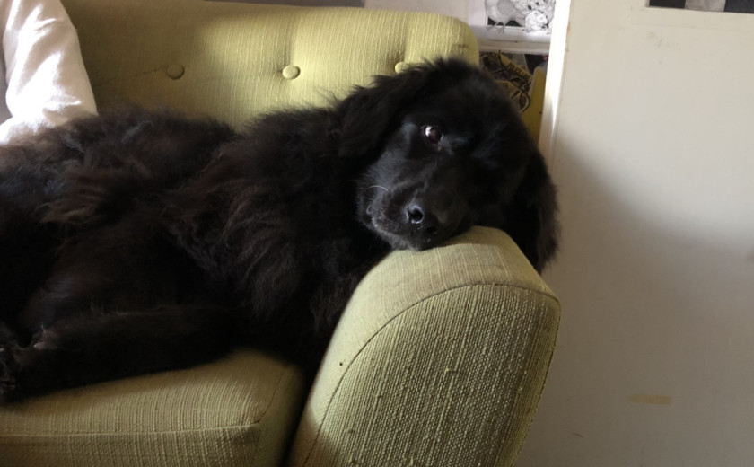 Seznam skladb za 10. 2. 2025, 14.00–18.00 (Nika Štrus)