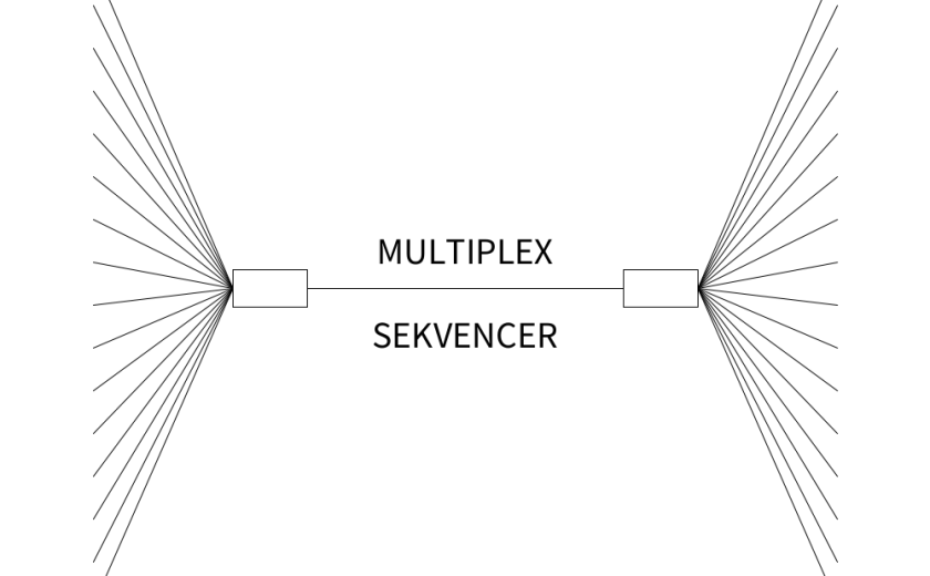 Multiplex sekvencer: pilotni poskus