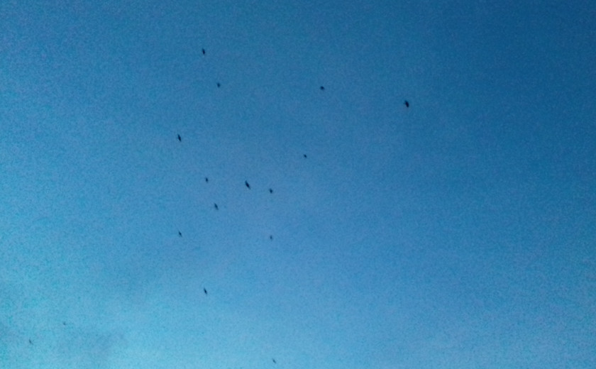 Seznam skladb za 25. 2. 2025, 7.00–11.00 (Nina Zajc)