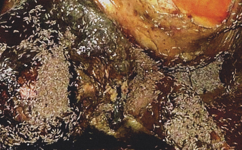 Pissgrave: Malignant Worthlessness