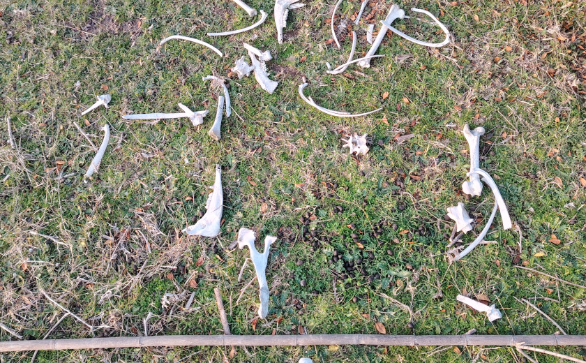 Seznam skladb za 28. 4. 2025, 7.00–11.00 (Luka Bevk)