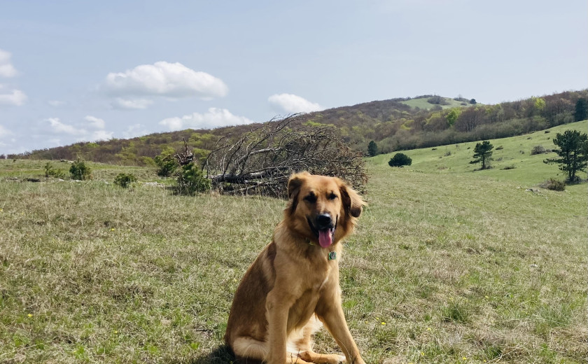 Seznam skladb za 24. 4. 2025, 7.00–11.00 (Hana Hunjet)