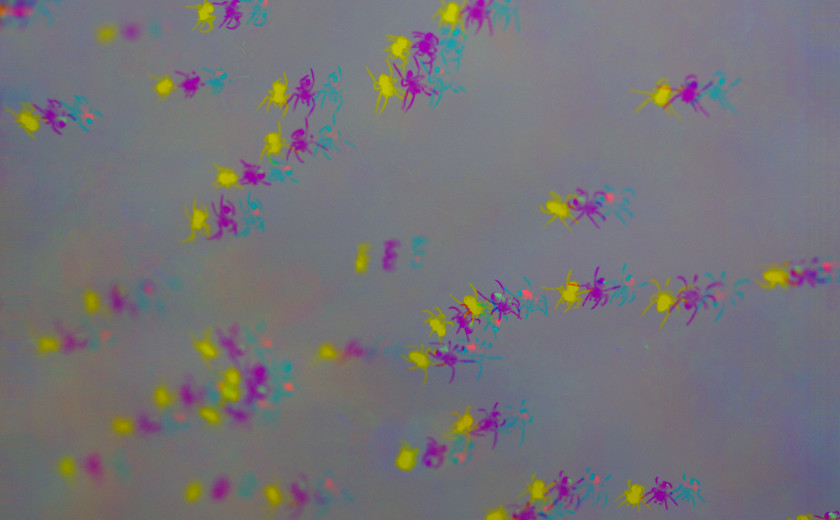 zaglitchana slika pajkov