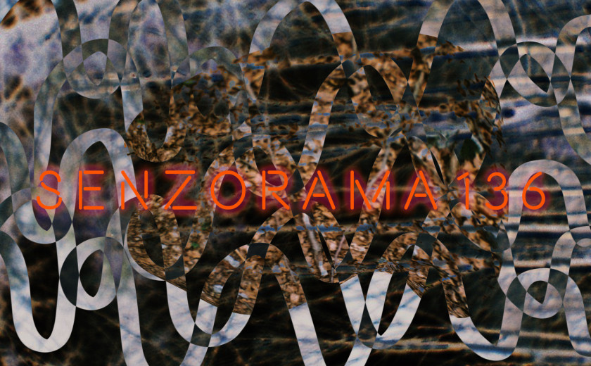 Senzorama 136: festival Niansa