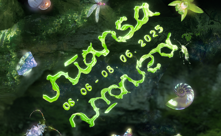 Festival Niansa 2025