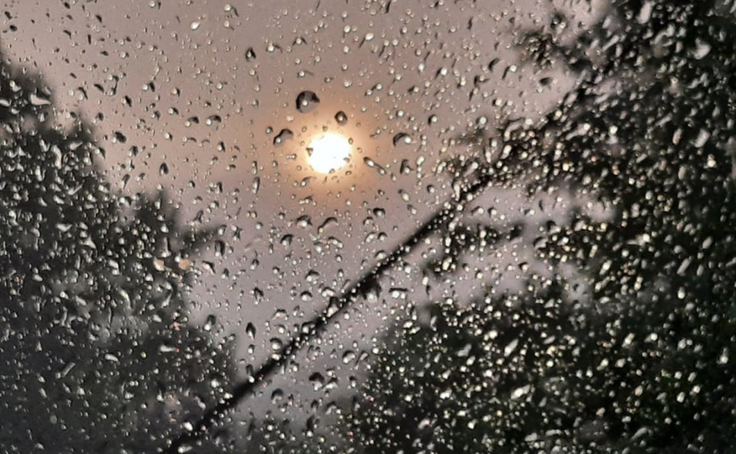 Ridota: Brez zrnja v plevelu