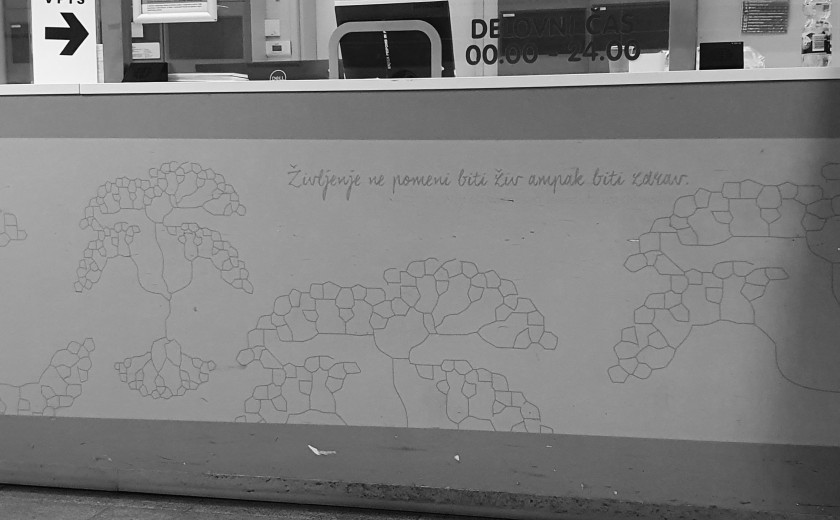 Seznam skladb za 8. 8. 2025, 11.00–14.00 (Mitja Hlupič)