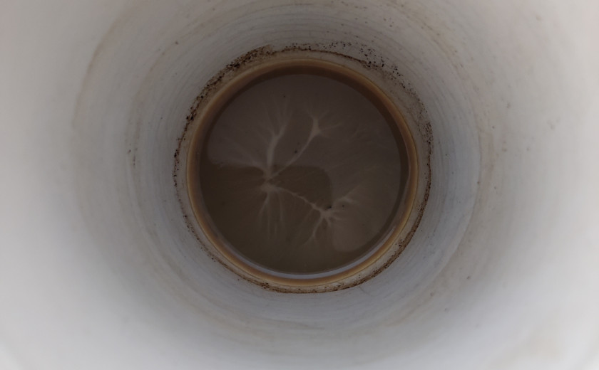 Seznam skladb za 7. 8. 2025, 11.00–14.00 (Aljaž Murovec)