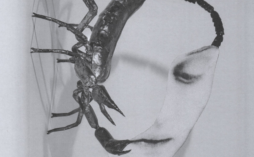 Tortoise – Layered Presence