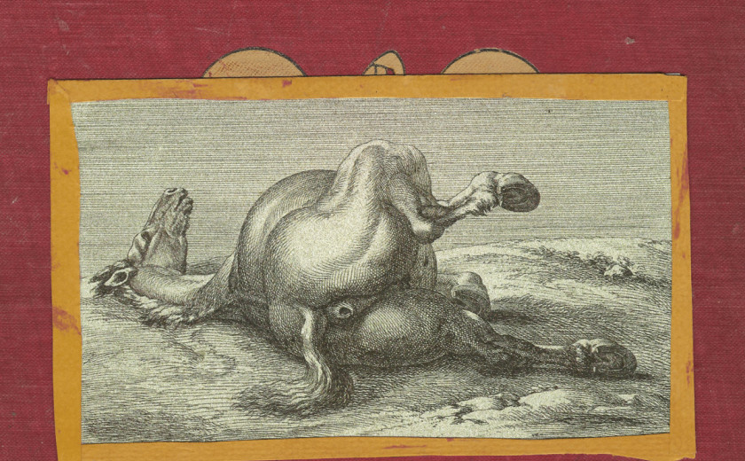 Shearling: Motherfucker, I am Both: "Amen" and "Hallelujah"...